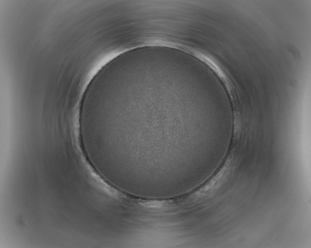 X0000115611048200911101423