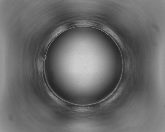 X0000115611049200911101423