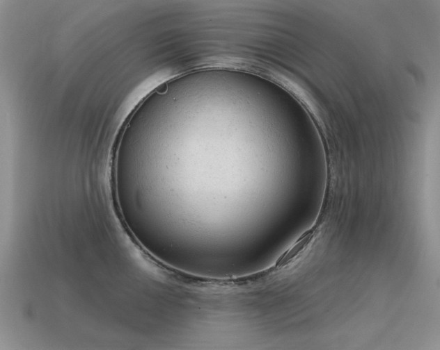 X0000115611050200911101423