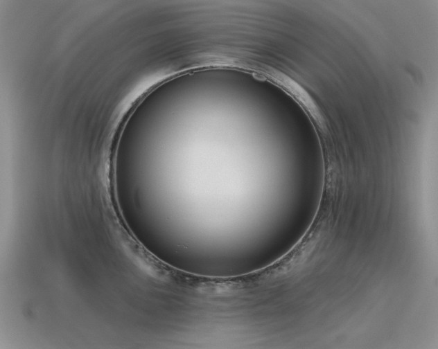 X0000115611051200911101423
