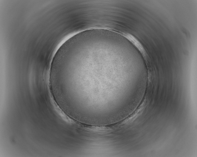 X0000115611052200911101423