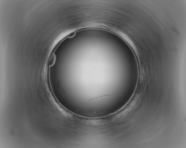 X0000115611053200911101423