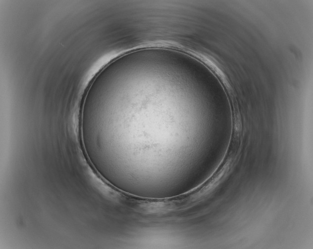 X0000115611054200911101423
