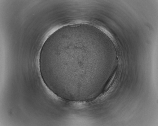 X0000115611055200911101423