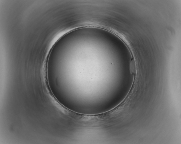 X0000115611056200911101423