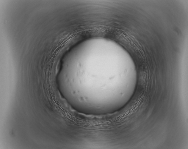 X0000115611057200911101422