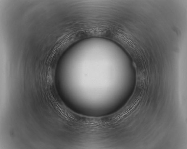 X0000115611058200911101422
