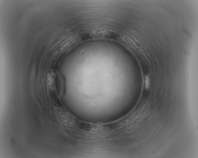 X0000115611059200911101422