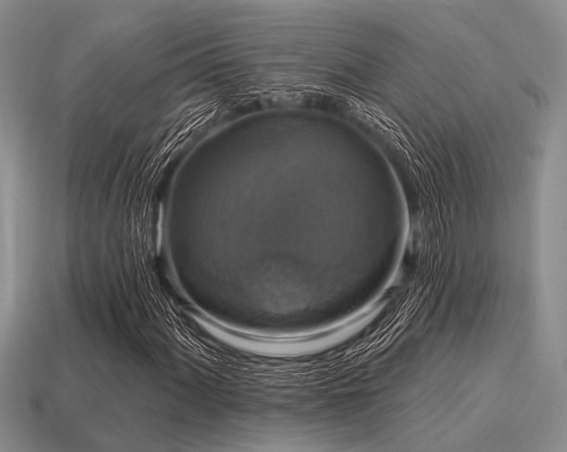 X0000115611060200911101422