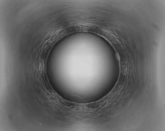 X0000115611061200911101422