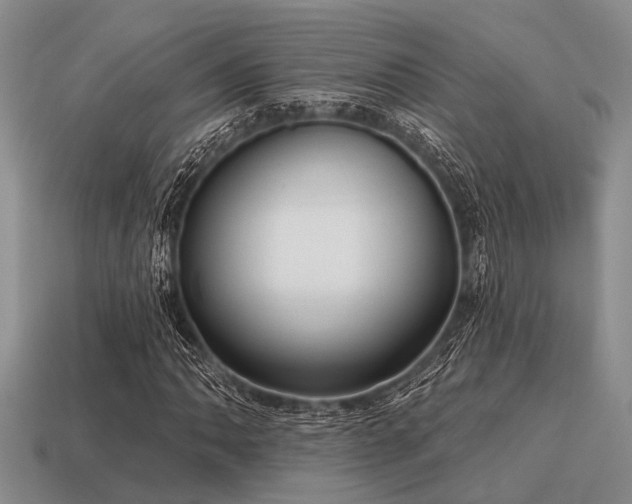 X0000115611062200911101422