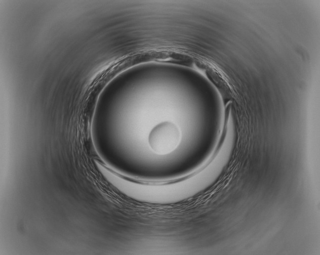X0000115611064200911101422