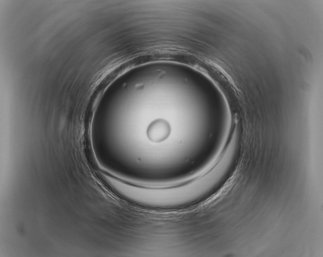 X0000115611065200911101422