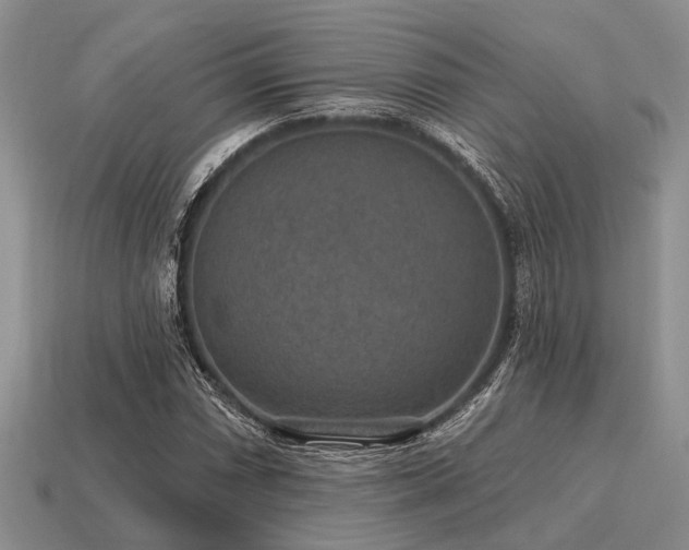 X0000115611066200911101422