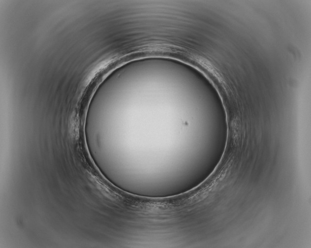 X0000115611067200911101422