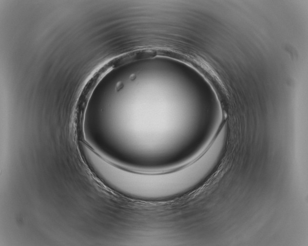X0000115611068200911101422