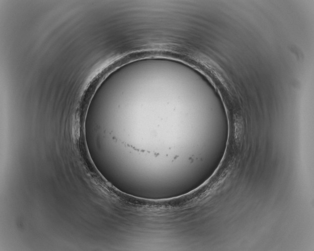 X0000115611069200911101422