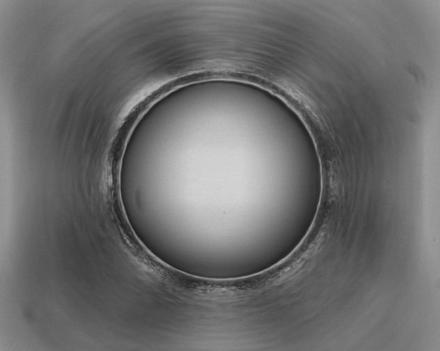 X0000115611070200911101422