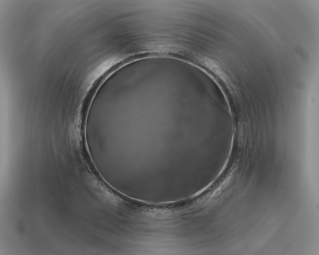 X0000115611071200911101422