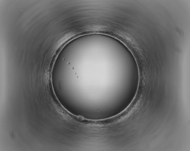 X0000115611073200911101422