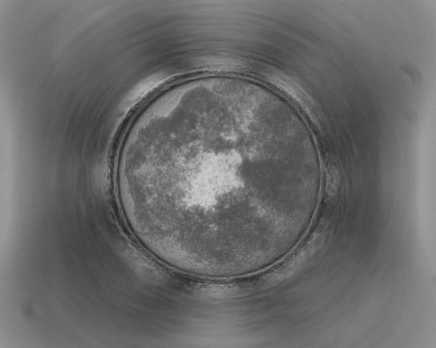 X0000115611074200911101422
