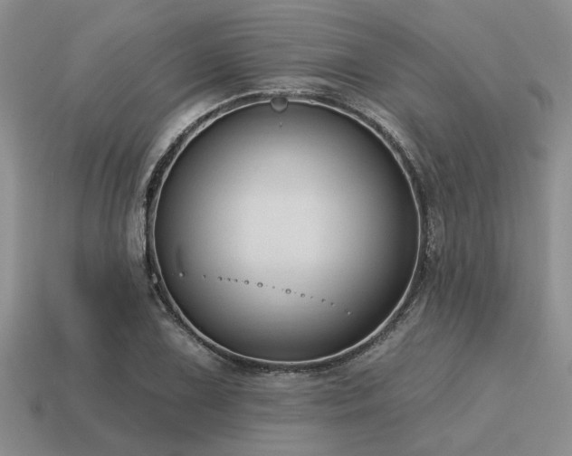 X0000115611075200911101422