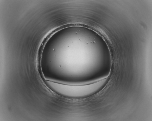 X0000115611076200911101422