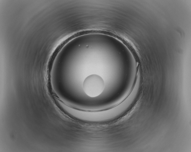 X0000115611077200911101422