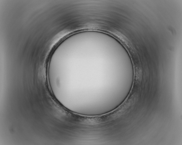 X0000115611078200911101422