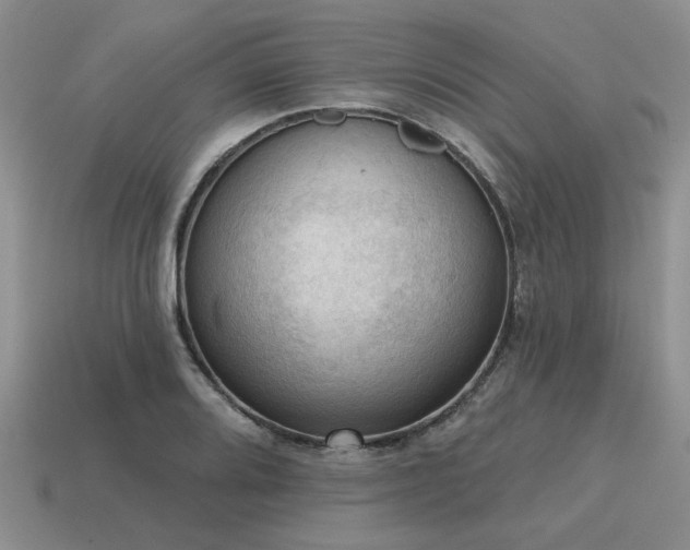 X0000115611080200911101422