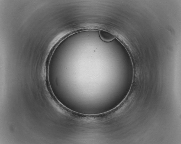 X0000115611082200911101422