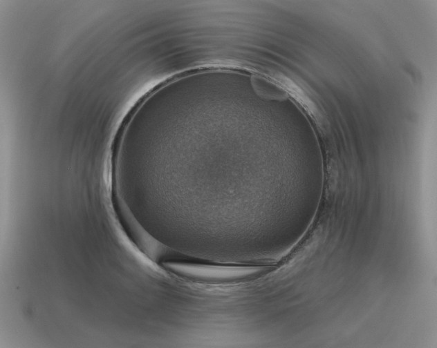 X0000115611084200911101422