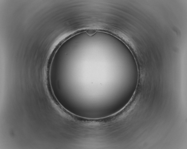X0000115611085200911101422