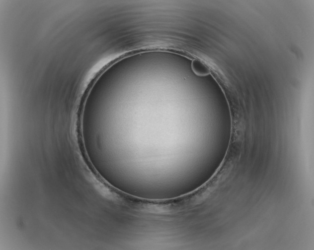 X0000115611086200911101422