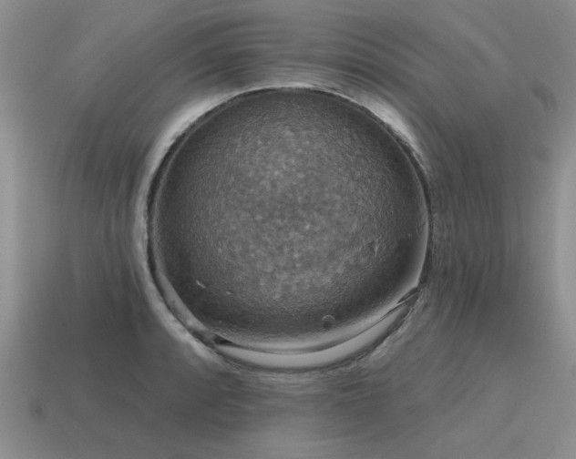 X0000115611088200911101422