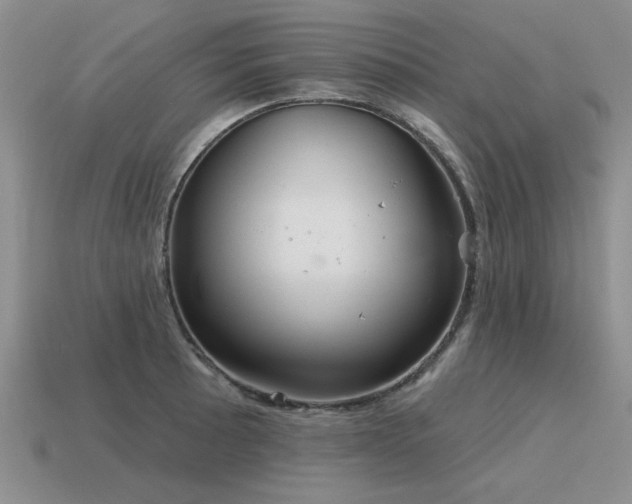 X0000115611089200911101422
