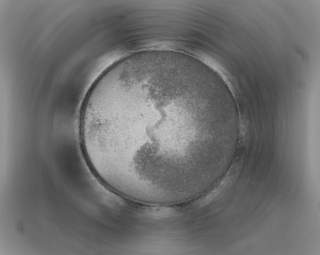 X0000115611090200911101422