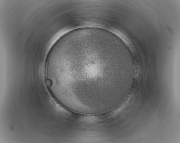 X0000115611094200911101422