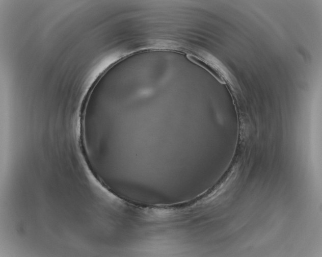 X0000115611095200911101422