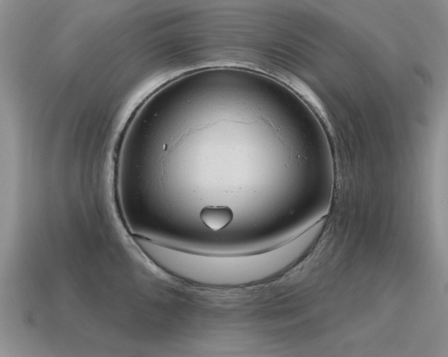 X0000115611096200911101422