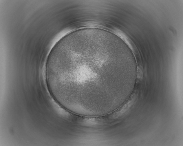 X0000115611098200911101422