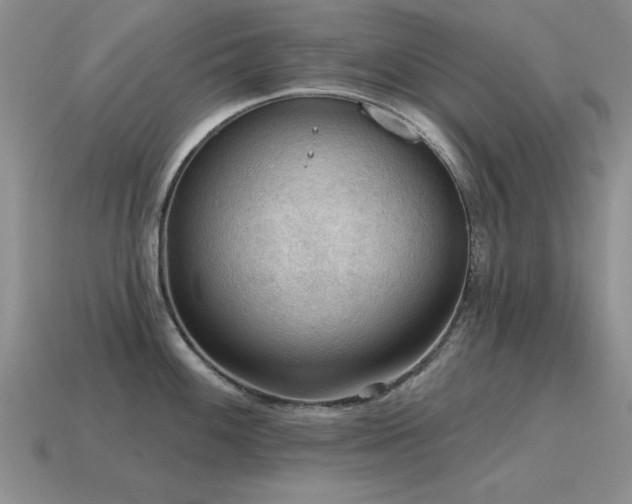 X0000115611100200911101422