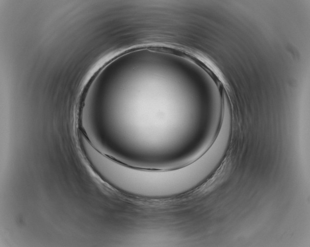 X0000115611101200911101422