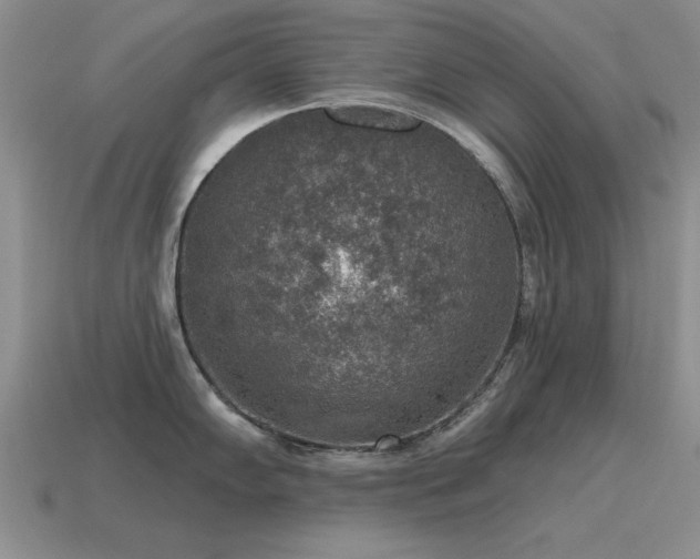 X0000115611102200911101422