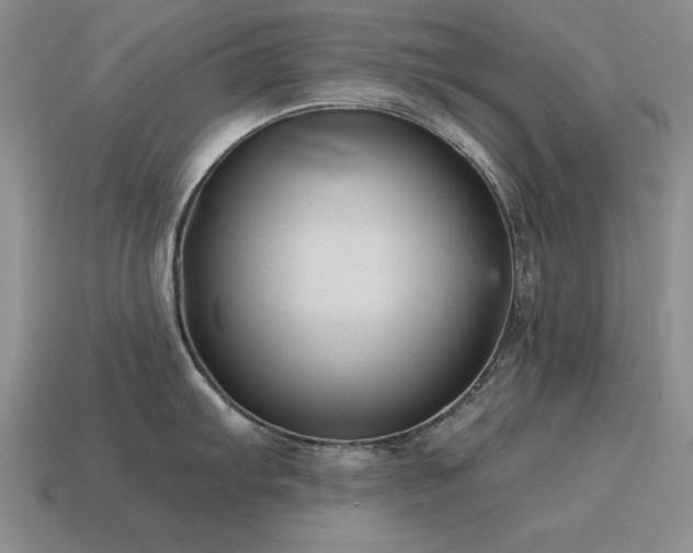 X0000115611103200911101422