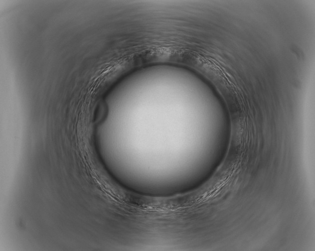 X0000115611105200911101421