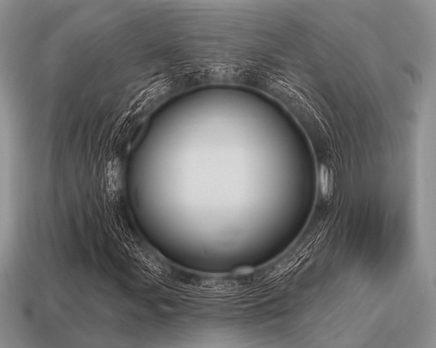 X0000115611107200911101421
