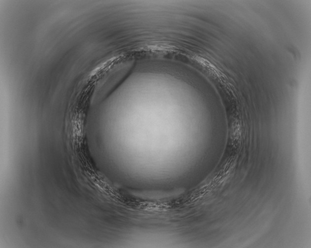 X0000115611110200911101421