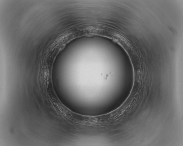 X0000115611111200911101421