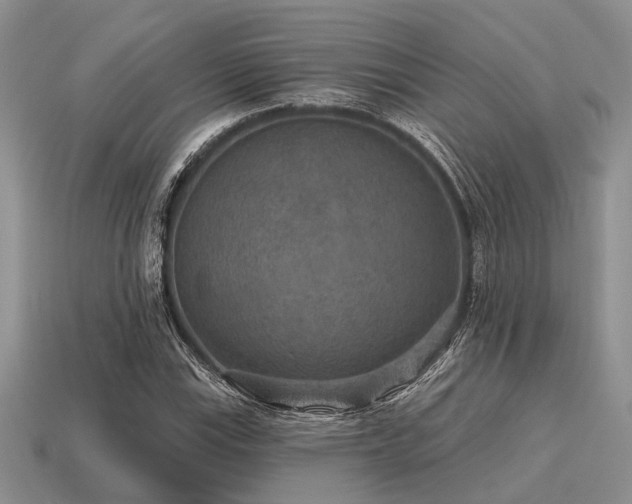 X0000115611115200911101421